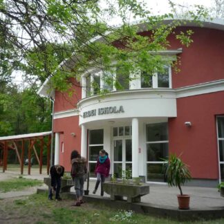 Kontyvirág Erdei Iskola