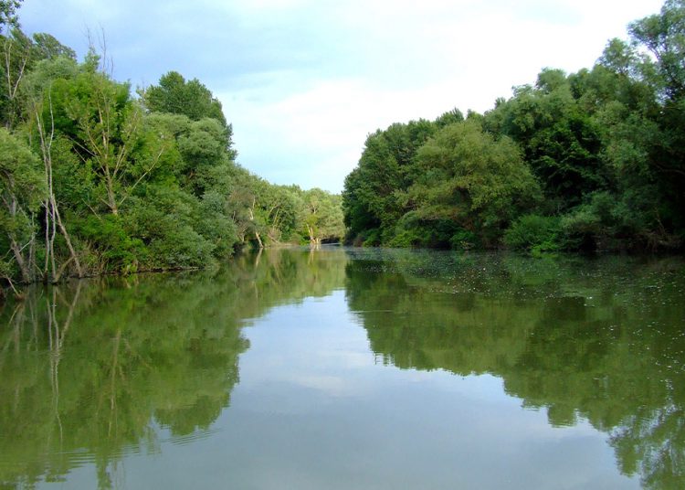 A vadregényes Kettős-Körös Köröstarcsánál.