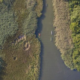 Tisza-tó, hajnali természetfotós túra