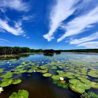 Tisza-tó, esti természetfotós túra