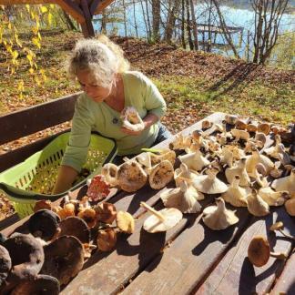 Gombaismereti túra és workshop a Búbánat-völgyben