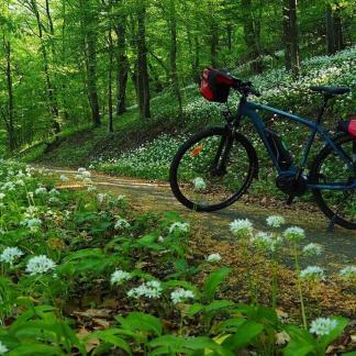 Vezetett e-bike hétvége a Mecsekben - a medvehagyma idején (3 nap/2 éj)