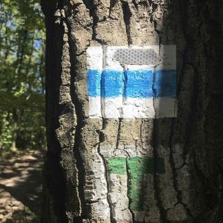 Vezetett gyalogos túra a Kéktúra 9., Bakonykúti-Bodajk szakaszán