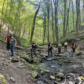 Vezetett HANGOLÓ túra az Apátkúti-völgyben - Columbia Hike Society augusztusi túrája