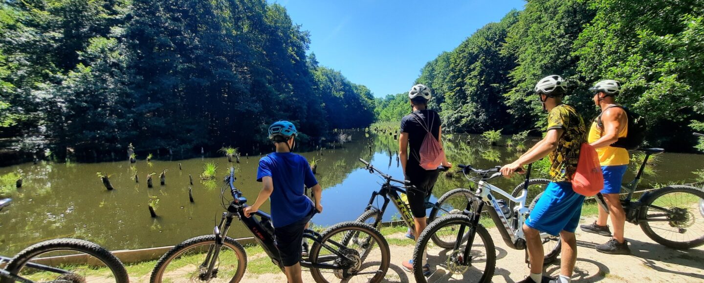 Vezetett e-bike túra+hűsítő nagyteveli csobbanás a Bakony erdeiben