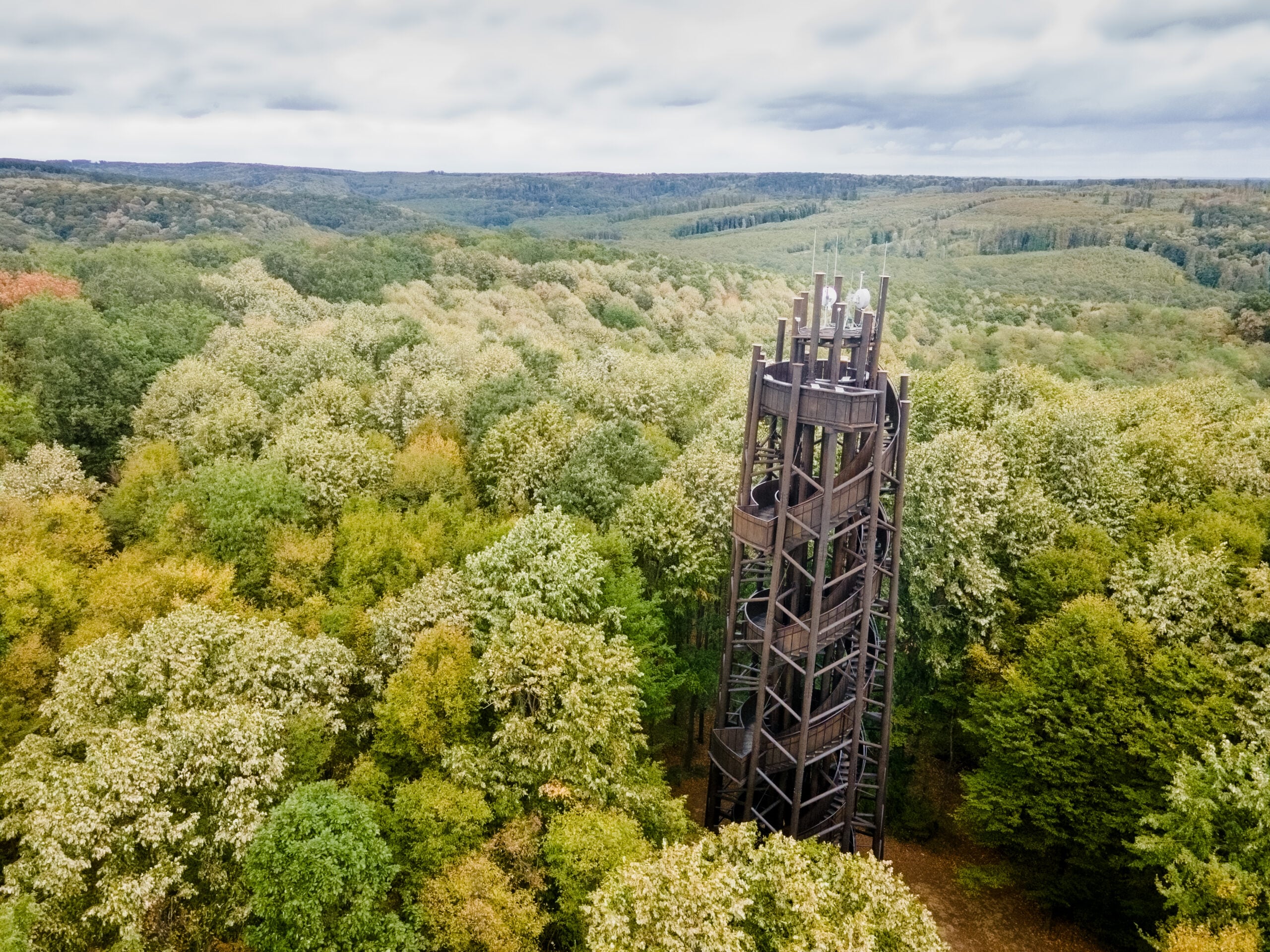 Kardosfai-kilátó (Zselic)